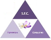 logo SFC Formation Consulting